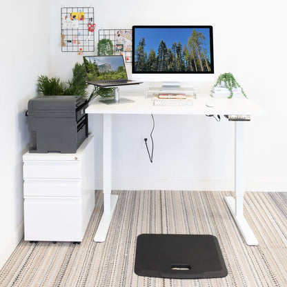 Electric Sit-Stand Desk