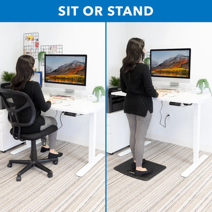 Electric Sit-Stand Desk